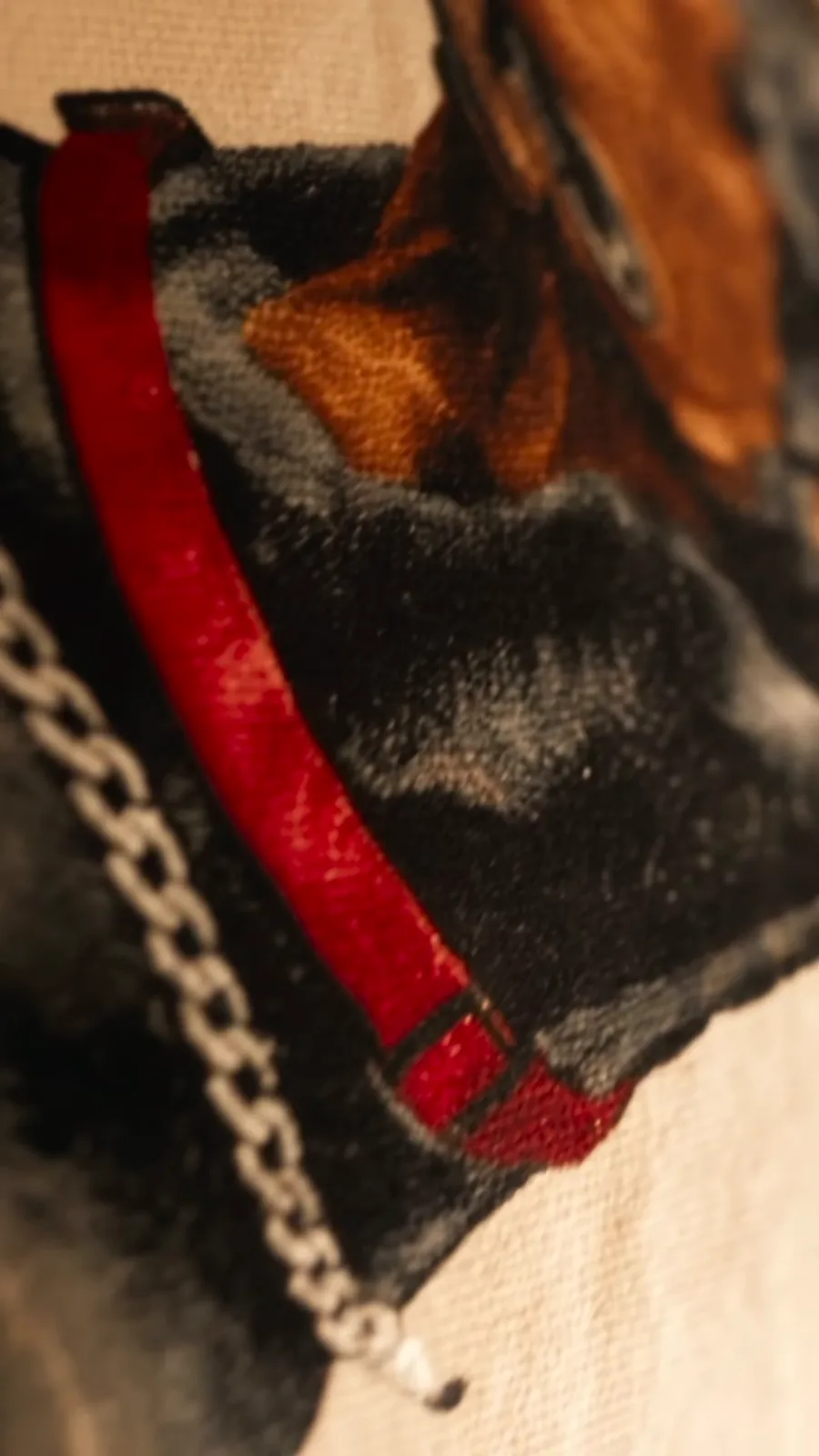 Detalle bordado del collar rojo y la cadena